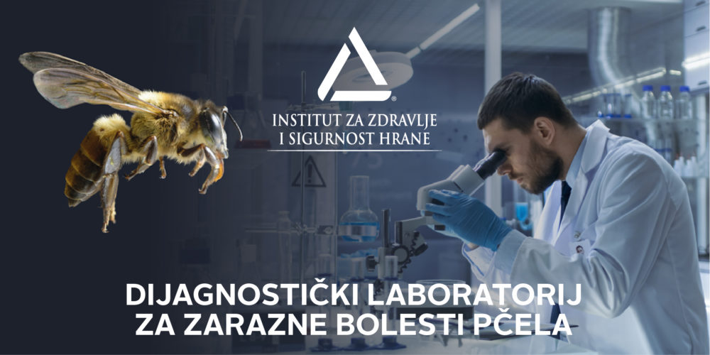 Na INZ-u Omogućena Dijagnostika Zaraznih Bolesti Pčela