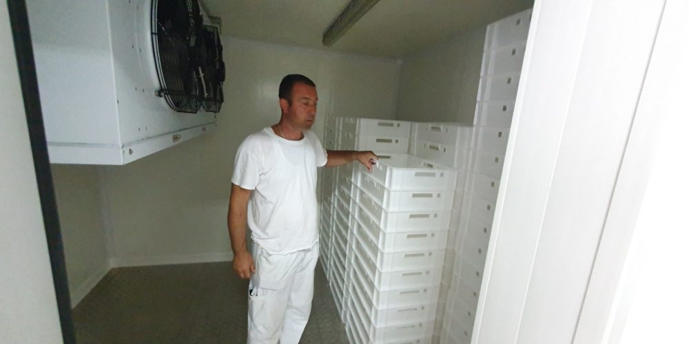 Zdravstvena Ispravnost životinje I Njenog Mesa Je Vjerska, Ali I Ljudska Obaveza Svakog Ko Pristupi Obredu Klanja Kurbana